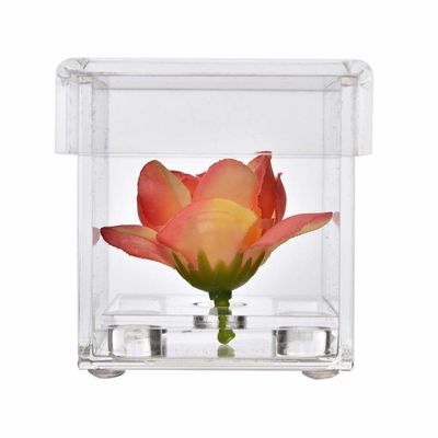 PMMA-Acrylmagazin, Vielzweckacrylkästen für Blumen