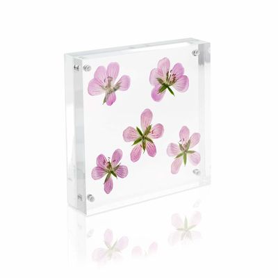 PMMA-Acrylfoto-Anzeigen-Frameless magnetische acrylsauerbilderrahmen für Kühlschrank