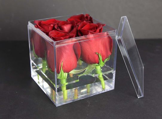 Acrylplexiglas-Blumen-Kasten mit Einsatz